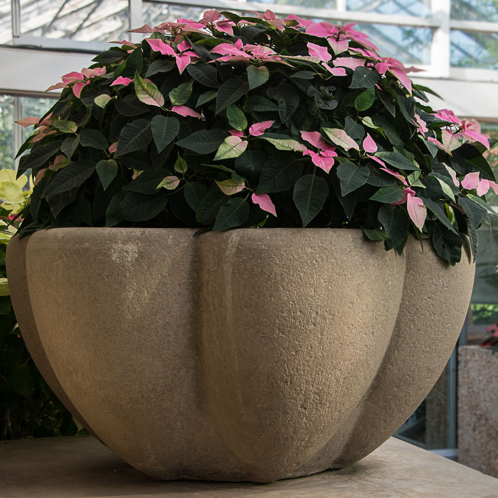 Concrete pot